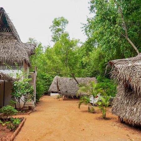 Nebula Nest Cafe & Hostel Όρβιλ Εξωτερικό φωτογραφία