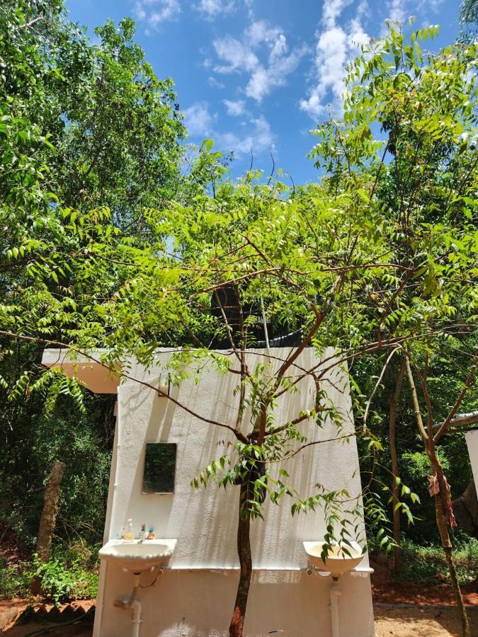 Nebula Nest Cafe & Hostel Όρβιλ Εξωτερικό φωτογραφία
