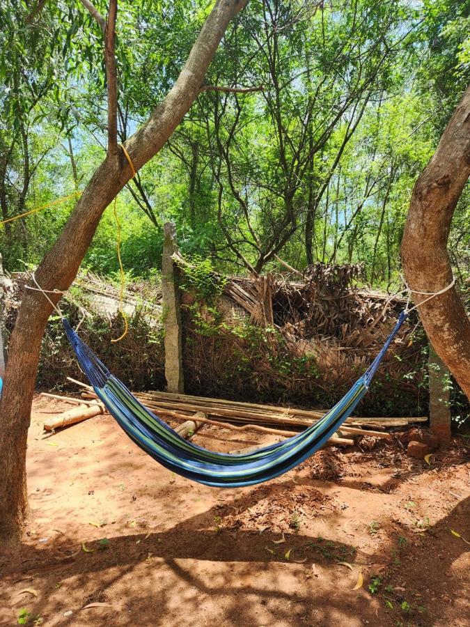 Nebula Nest Cafe & Hostel Όρβιλ Εξωτερικό φωτογραφία