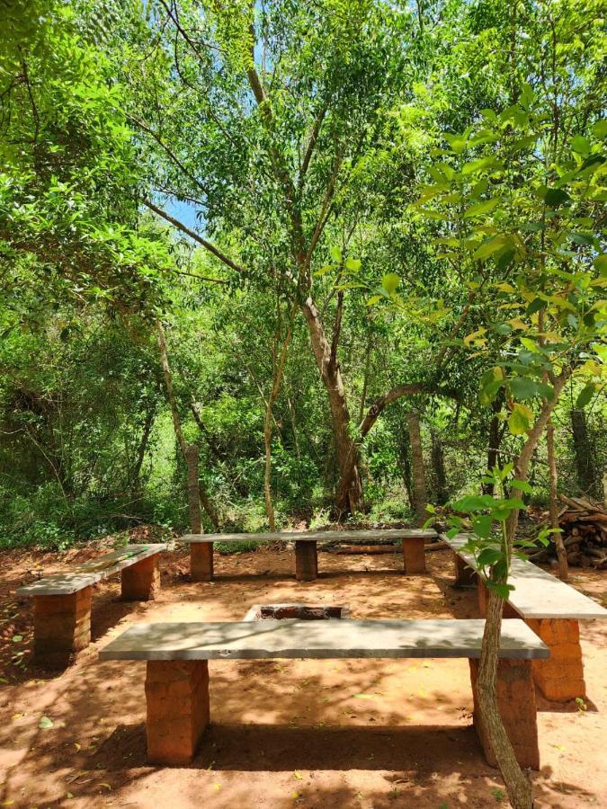 Nebula Nest Cafe & Hostel Όρβιλ Εξωτερικό φωτογραφία