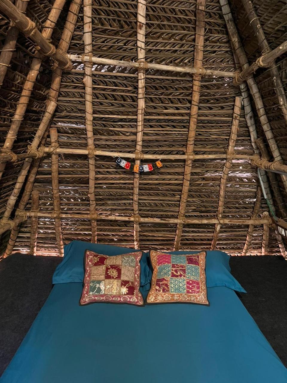 Nebula Nest Cafe & Hostel Όρβιλ Εξωτερικό φωτογραφία