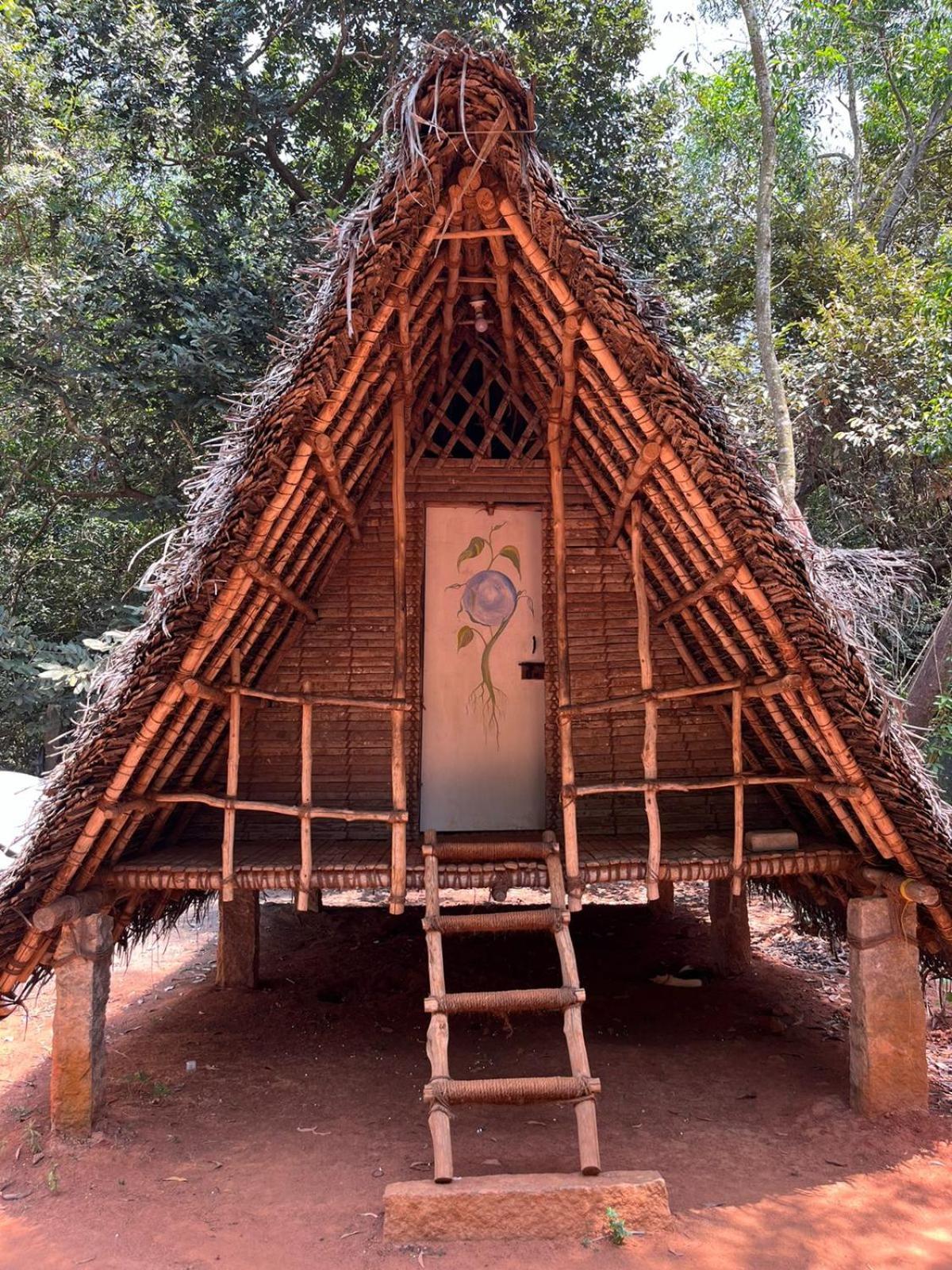Nebula Nest Cafe & Hostel Όρβιλ Εξωτερικό φωτογραφία