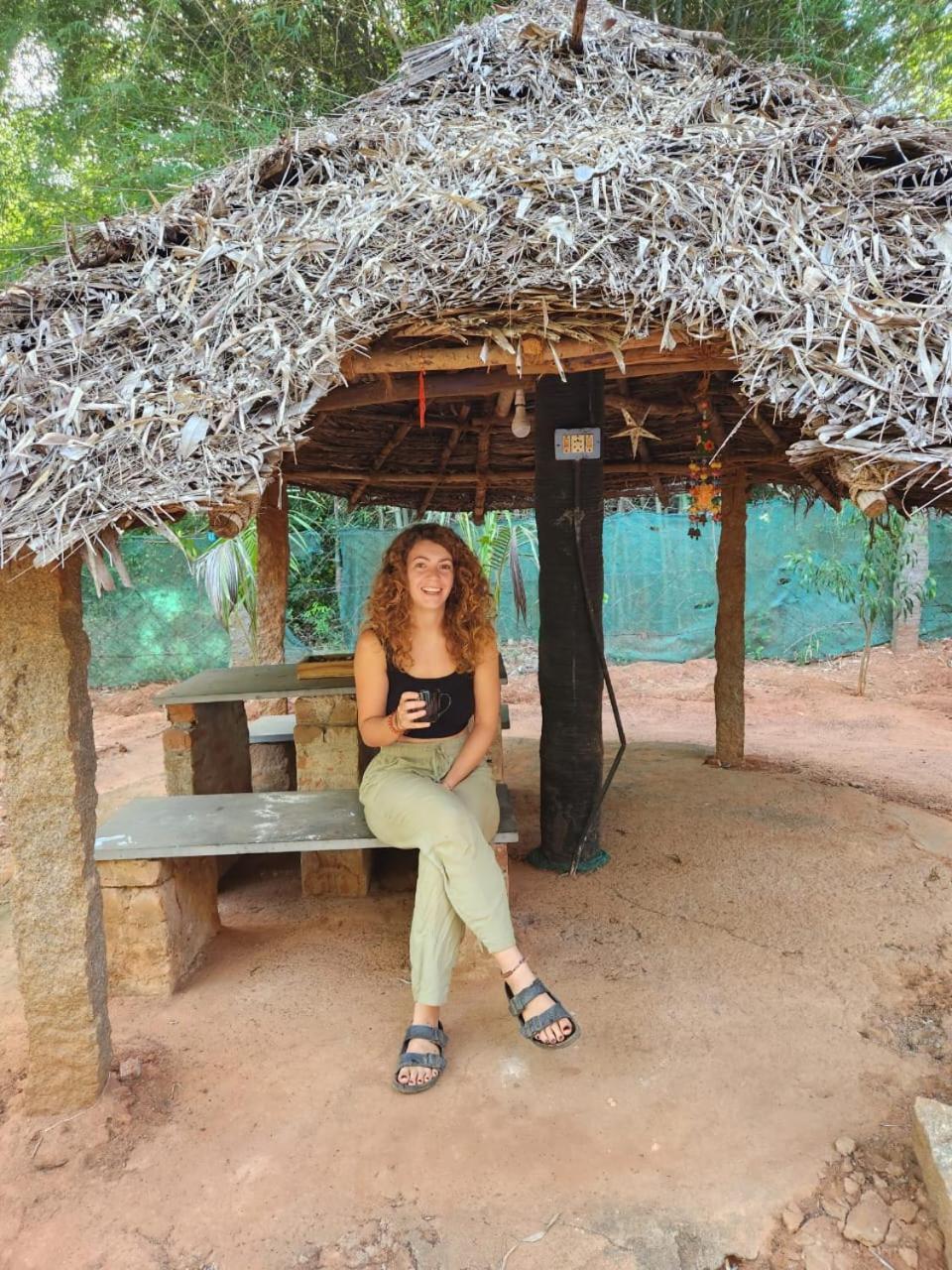 Nebula Nest Cafe & Hostel Όρβιλ Εξωτερικό φωτογραφία